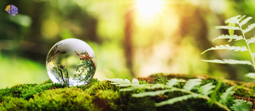 A glass globe resting on green moss in a forest, reflecting the surrounding nature and symbolizing the concept of Biophilia.