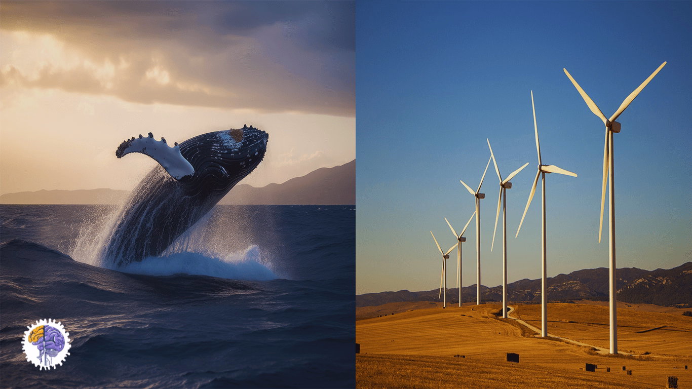 A split image of a breaching humpback whale and a row of wind turbines, illustrating how the whale's flipper design inspired more efficient turbine blades.