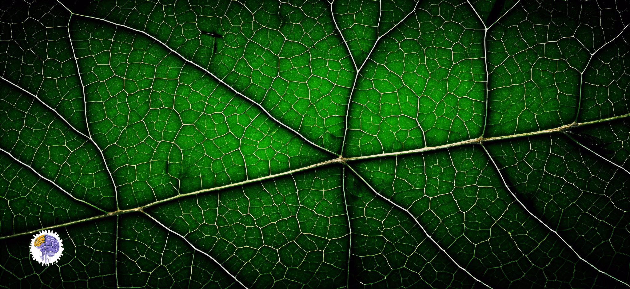 A macro photo of a vibrant green leaf's intricate vein structure, symbolizing the complexity of nature that presents both promise and translation challenges for biomimicry.